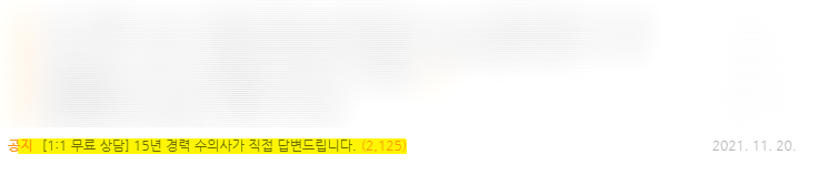 17살 노견 피지낭종 제거, 마취 걱정 없이 가능할까?