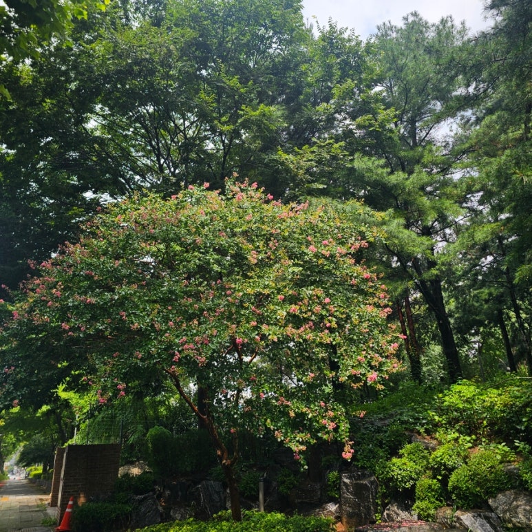 굴림샤브&콩국수 어린이대공원점 사진 3