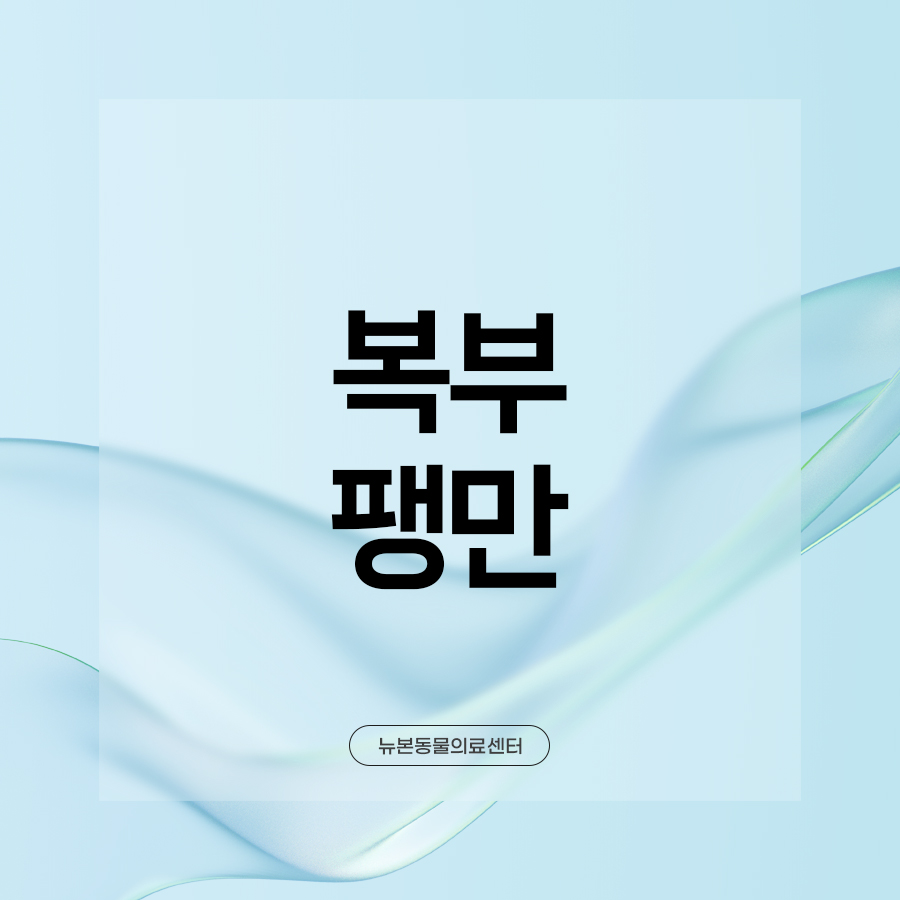 평택 강아지 배 빵빵함, 단순 소화불량 아닐 수 있어요