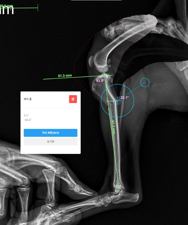 11세 포메라니안 십자인대 파열, CTWO 수술 후기 — 사진 4