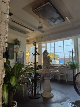 플르서라구뜨 사진 2