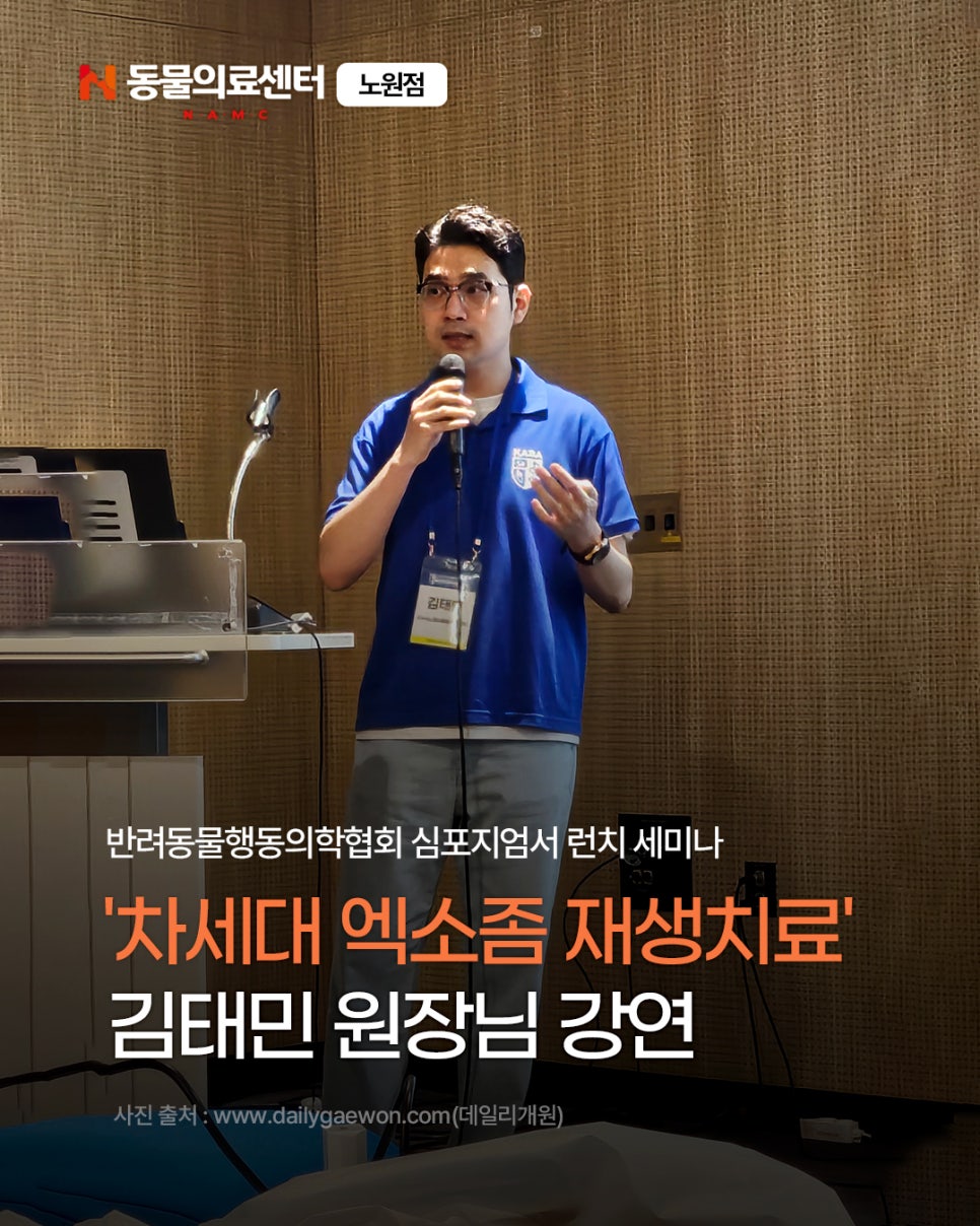 엑소좀 치료, 강아지 재생 효과와 활용법은?