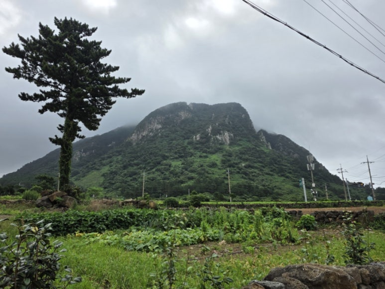 산방흑돼지순대&펜션 사진 5