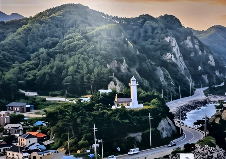 고흥집 사진 7