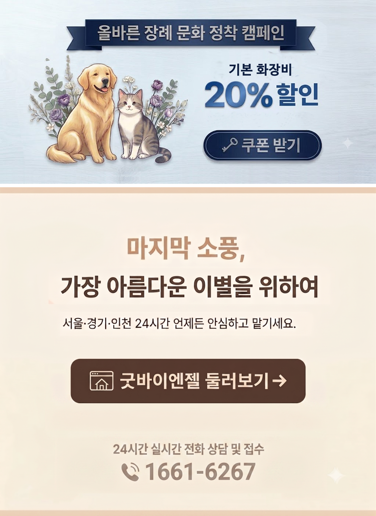 대형견 장례 가능한 화장터, 거절 없이 찾는 법 — 사진 6