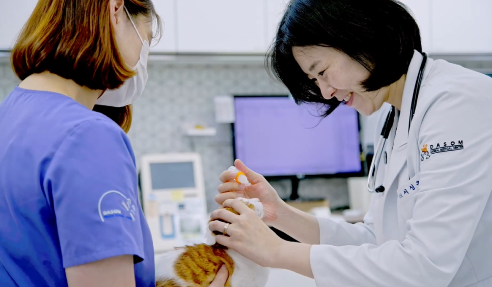 부산 다솜동물병원: 강아지 진료 철학 및 신뢰 구축