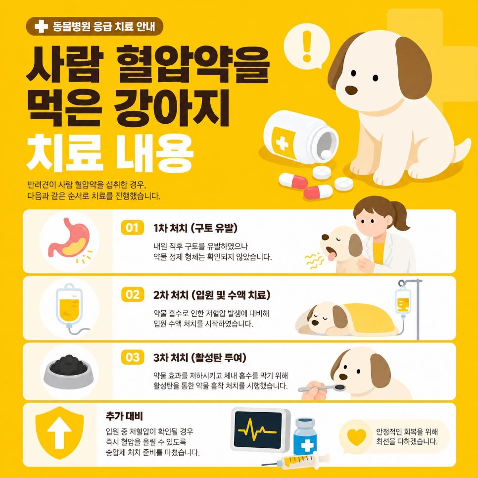 대전 강아지 사람 혈압약 섭취 후 응급 내원 및 입원 치료 후기 — 사진 4