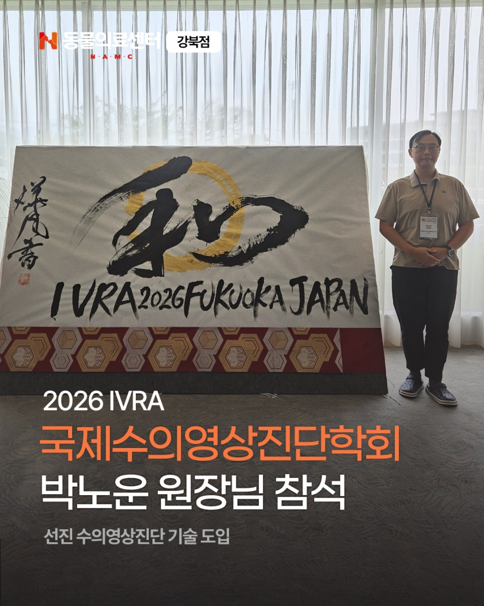 N동물의료센터 강북점, 최첨단 영상진단 노하우 진료 적용