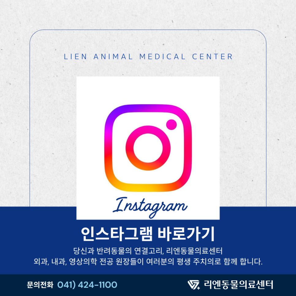 고양이 후두 종양 진단 및 치료 사례: 쉰 목소리 원인 찾기 — 사진 13