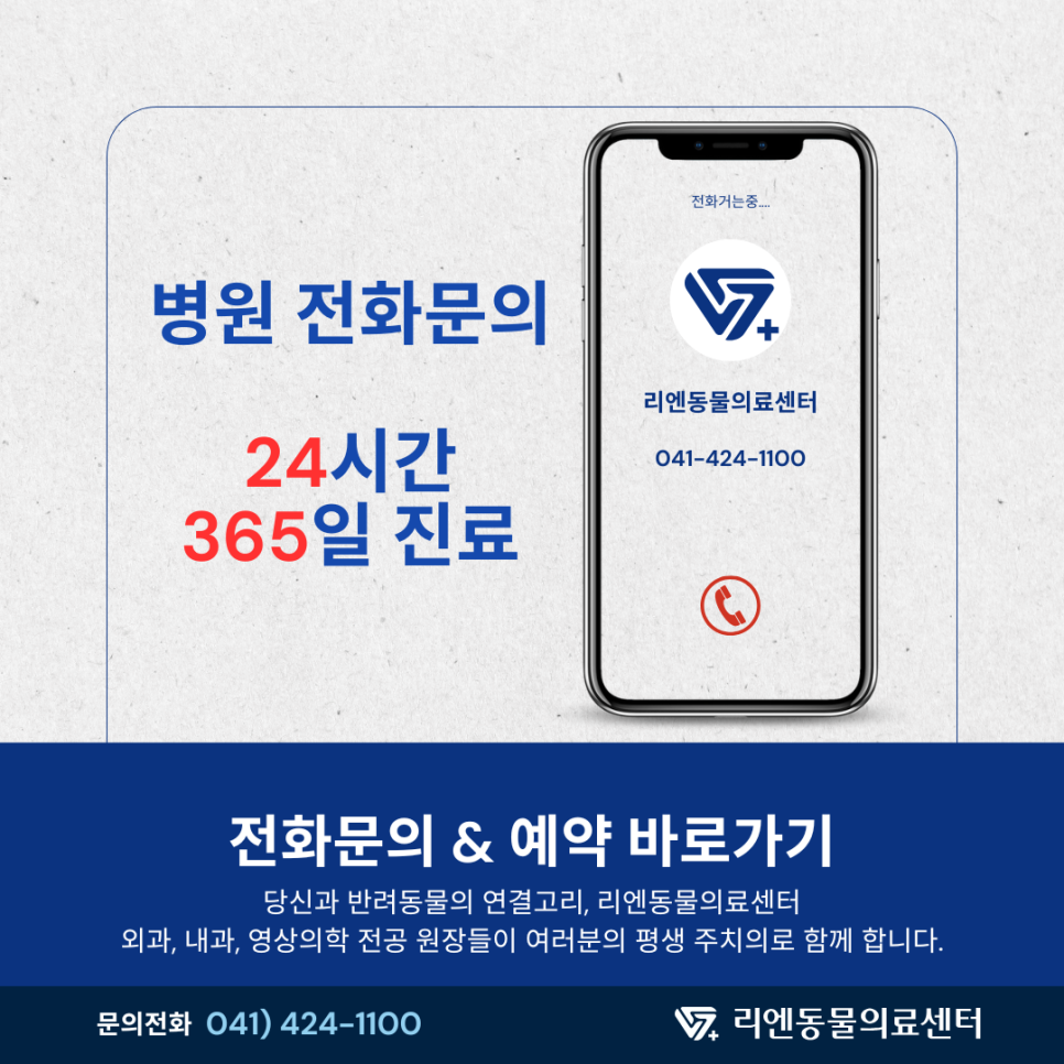 고양이 후두 종양 진단 및 치료 사례: 쉰 목소리 원인 찾기 — 사진 12