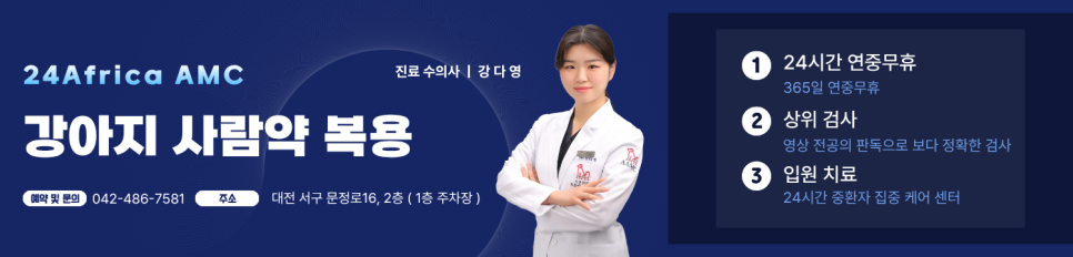 대전 강아지 사람 혈압약 섭취 후 응급 내원 및 입원 치료 후기 — 사진 6