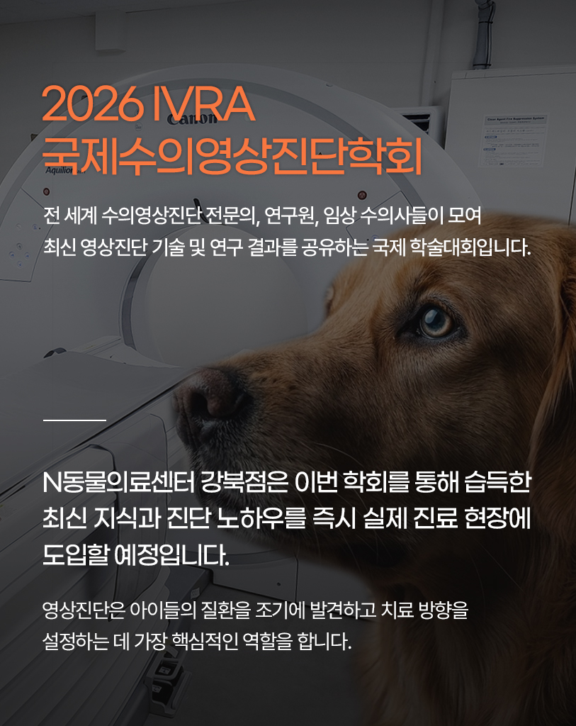 N동물의료센터 강북점, 최첨단 영상진단 노하우 진료 적용 — 사진 2