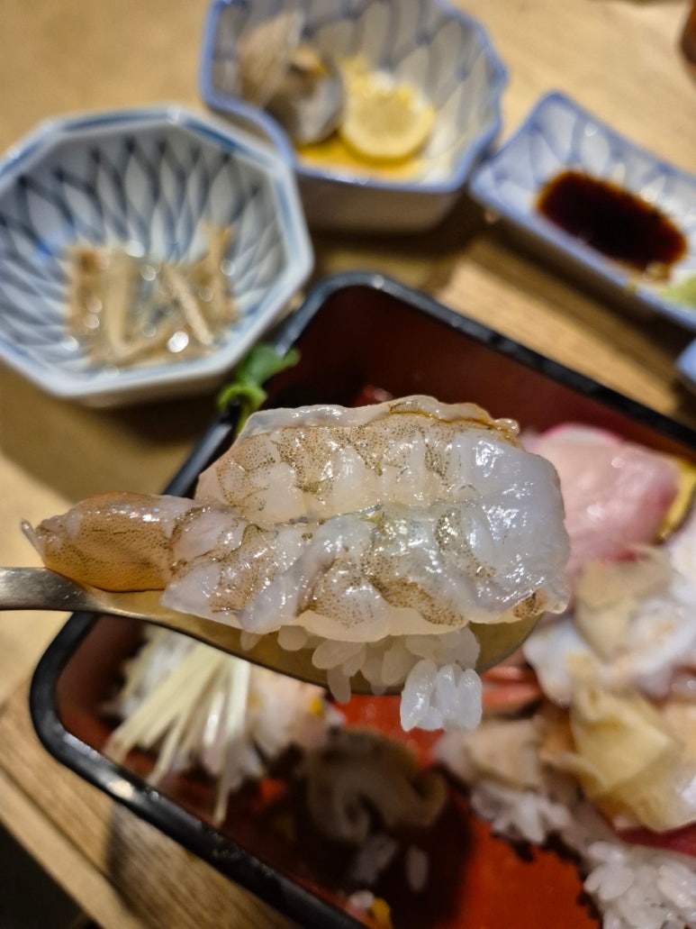 코바치 사진 4
