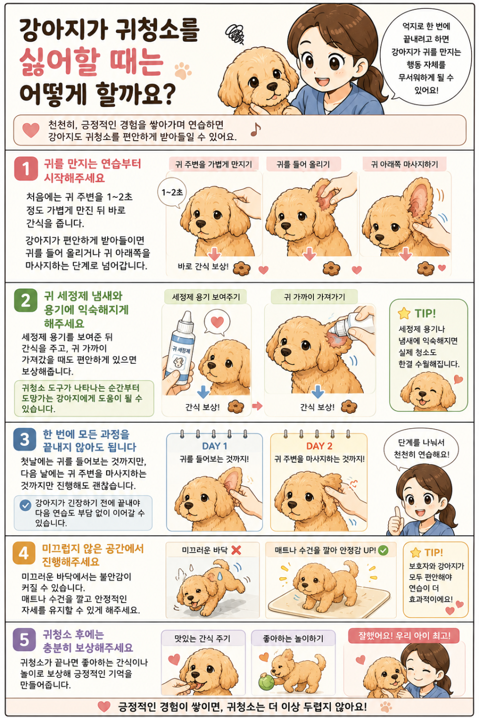 강아지 귀청소 방법, 주기, 냄새 관리법 — 사진 5