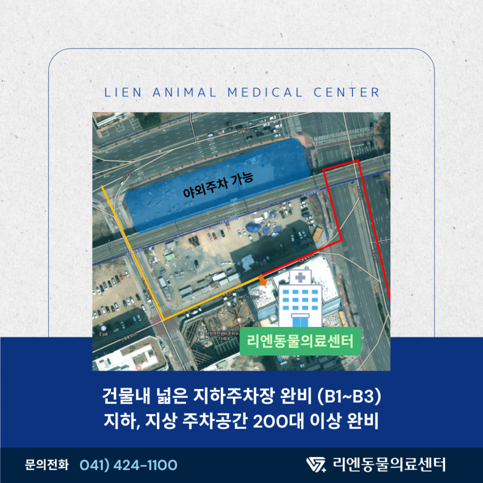 고양이 후두 종양 진단 및 치료 사례: 쉰 목소리 원인 찾기 — 사진 11