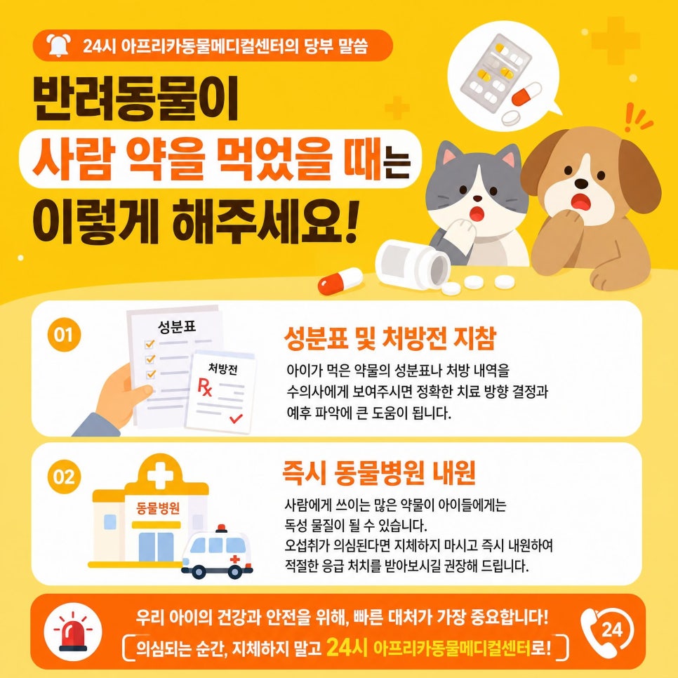 대전 강아지 사람 혈압약 섭취 후 응급 내원 및 입원 치료 후기 — 사진 5