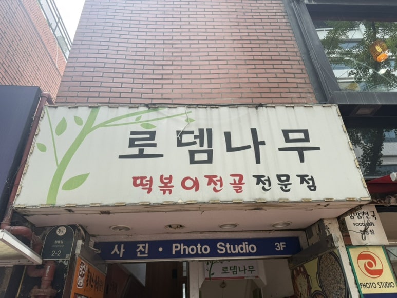 로뎀나무 사진 5