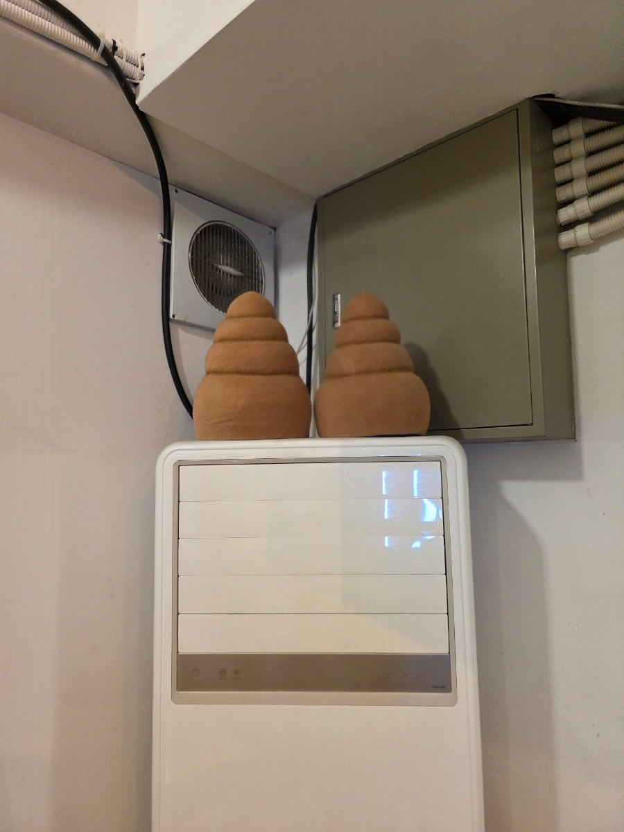 아라골뱅이 사진 2