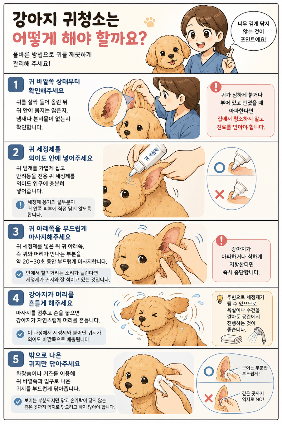 강아지 귀청소 방법, 주기, 냄새 관리법 — 사진 4