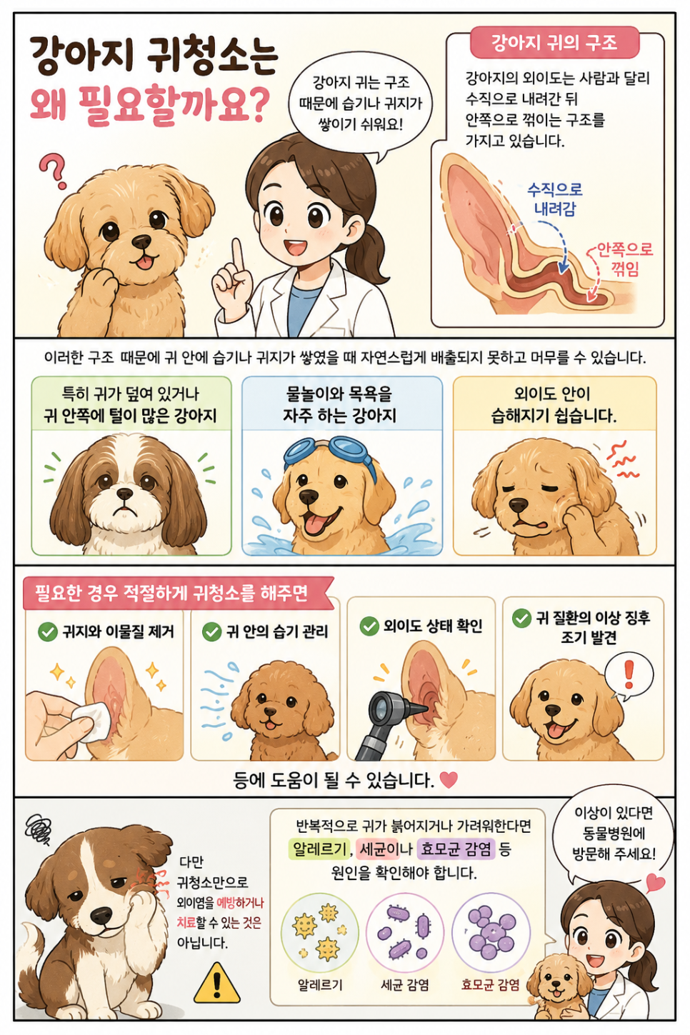 강아지 귀청소 방법, 주기, 냄새 관리법 — 사진 2
