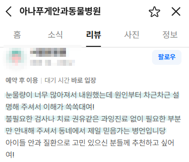 광주 아나푸게, 강아지 눈 하얘짐 원인과 치료법 — 사진 2