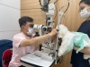 광주 아나푸게, 강아지 눈 하얘짐 원인과 치료법 — 사진 5