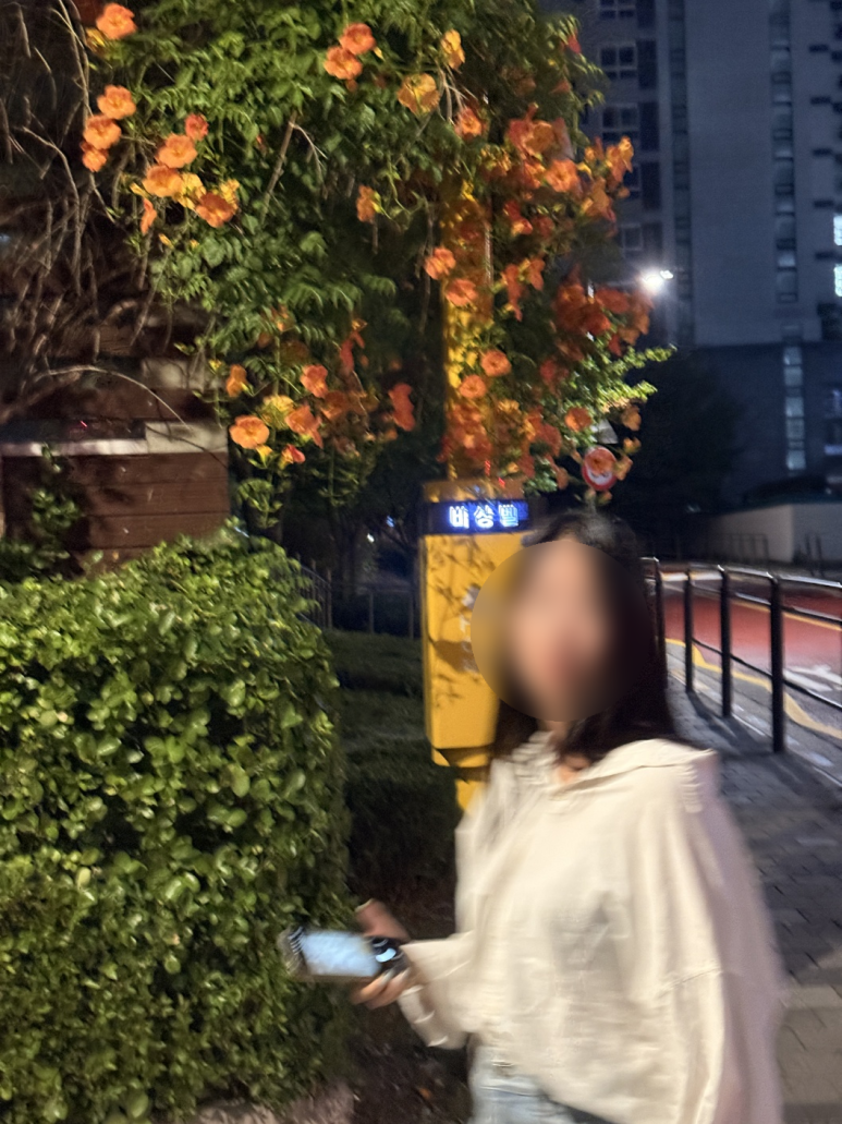 세곡초장 사진 7