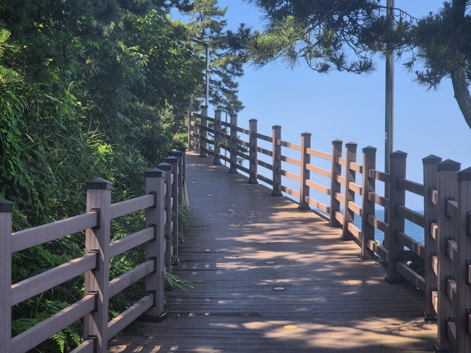 군산 옥돌해변, 강아지와 함께하는 애견동반 바다 여행 — 사진 11