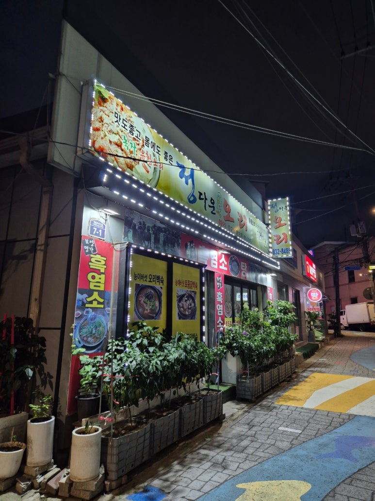 정다운오리 사진 3