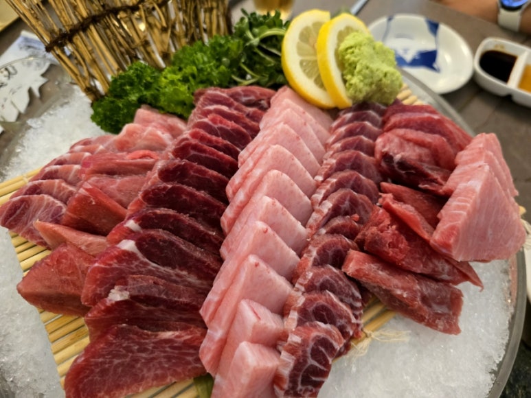 안참치 사진 3