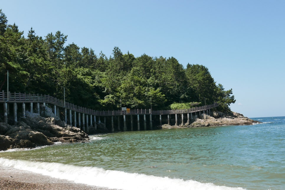 군산 옥돌해변, 강아지와 함께하는 애견동반 바다 여행 — 사진 8