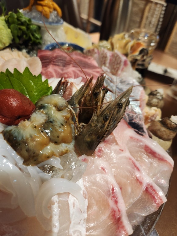 해춘 사진 8
