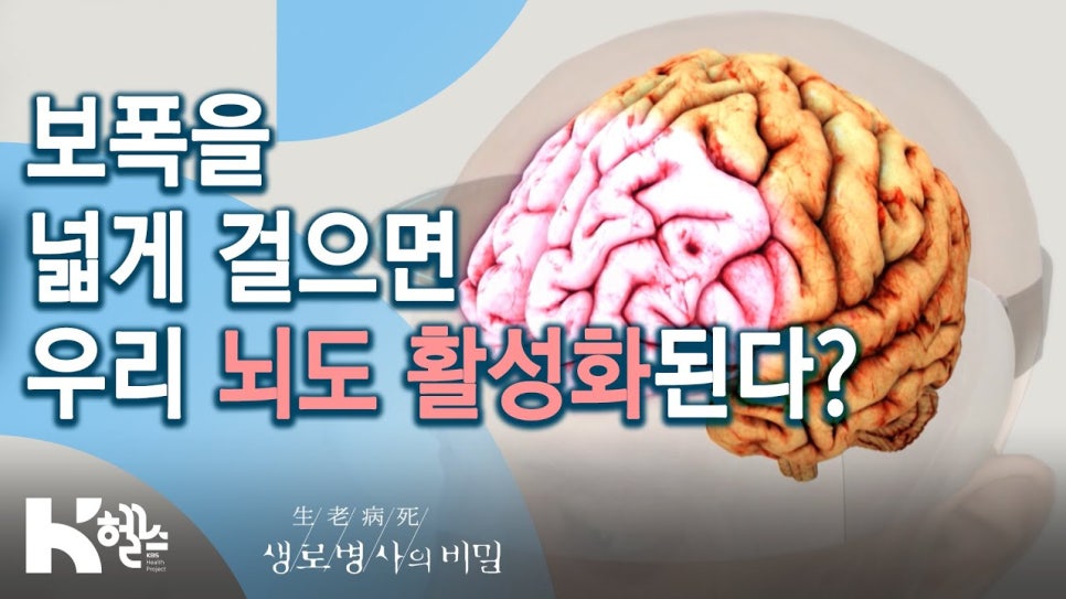 허리와 하체 근육에 힘을 주며 평소보다 보폭을 넓혀 걷는 올바른 발걸음 자세