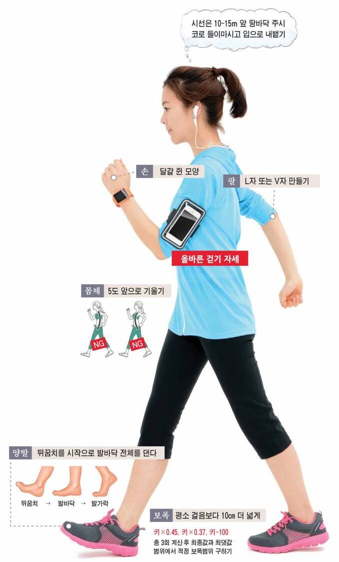 개인의 관절 상태와 체력을 고려하여 무리하지 않고 산책로를 걸어가는 중장년층의 모습