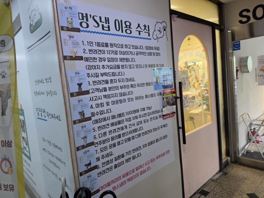 부천 애견카페 '멍스냅' 방문 후기: 강아지와 힐링 — 사진 2