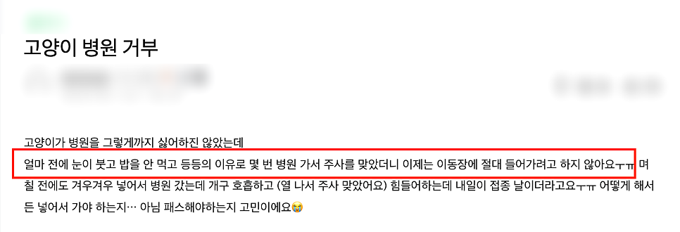 수원 고양이 이동장 거부, 16년 차 수의사 집사의 병원 선택 기준
