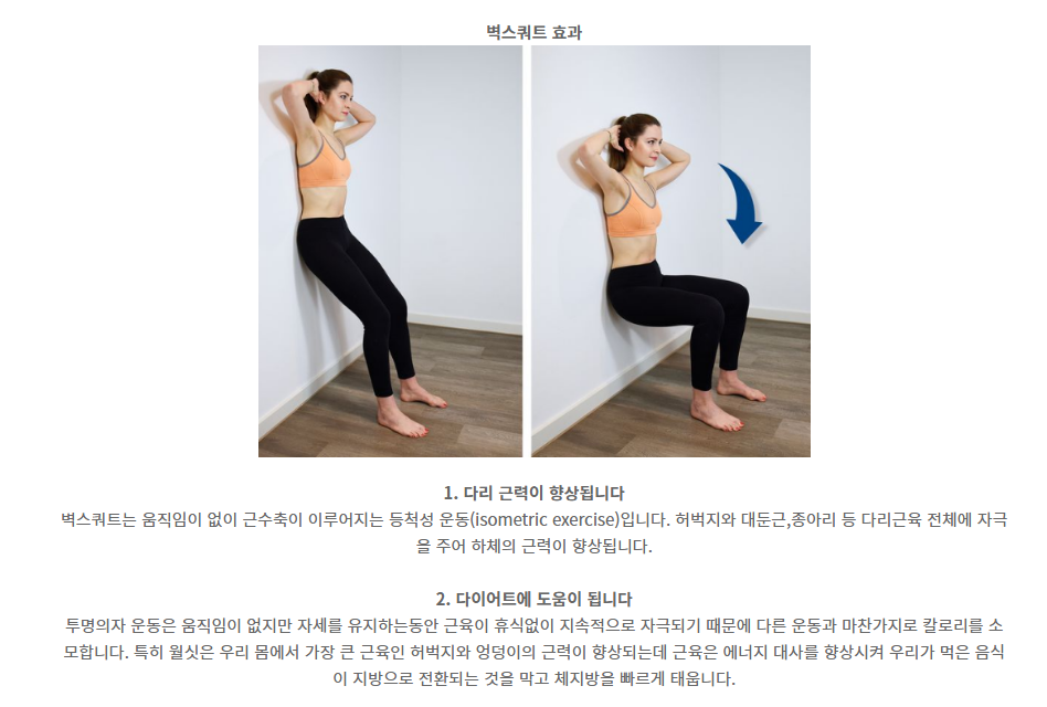 근감소증 예방을 위해 의자를 활용하여 스쿼트 운동을 안전하게 수행하는 모습