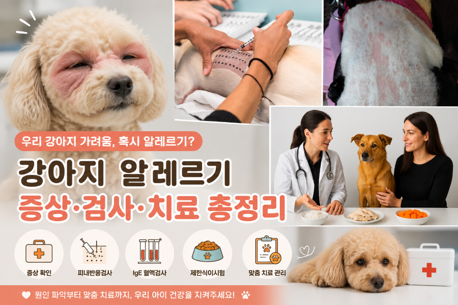 강아지 알레르기 증상, 급성 반응과 검사 종류별 비용