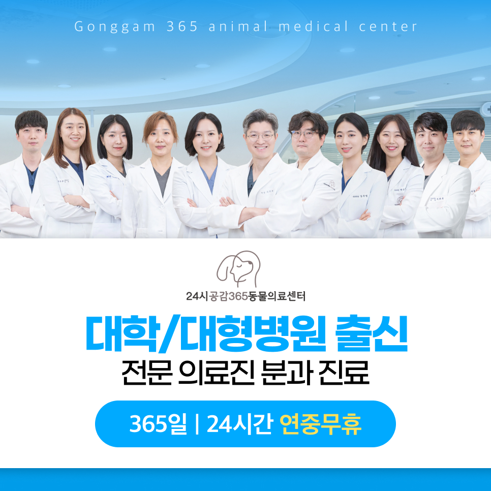 별내 2개월 진도개 골절 수술 후기 및 회복 과정 — 사진 14