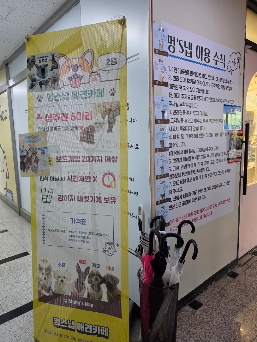 부천 애견카페 '멍스냅' 방문 후기: 강아지와 힐링