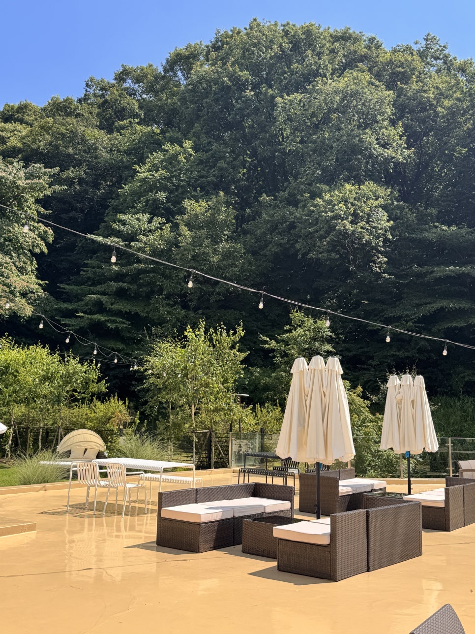 경기광주 신현리 애견동반 브런치 카페 노프트: 프렌치 감성 — 사진 17