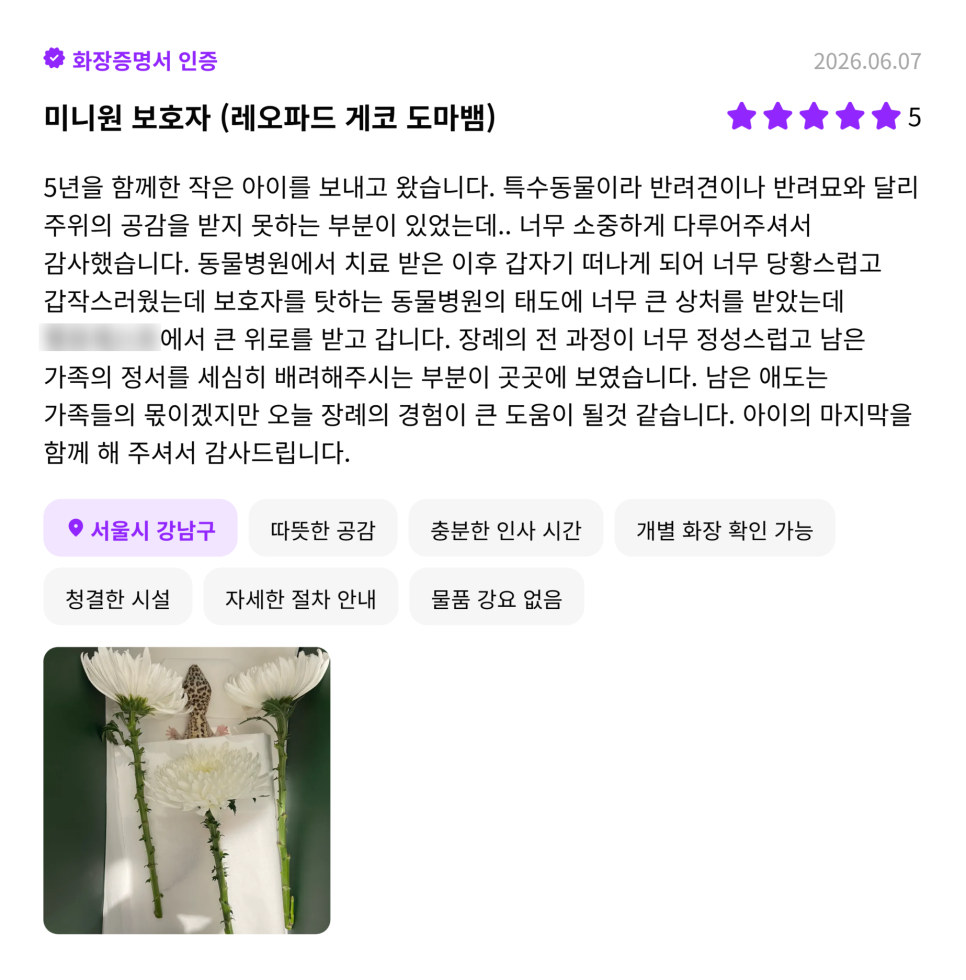 남양주 반려동물 장례식장 비용, 후기, 절차 안내 — 사진 9