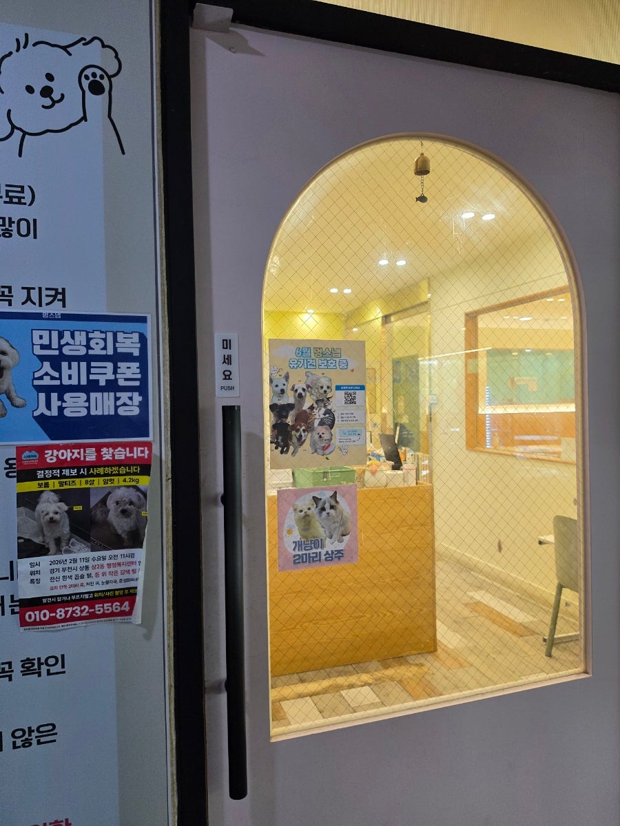 부천 애견카페 '멍스냅' 방문 후기: 강아지와 힐링 — 사진 3