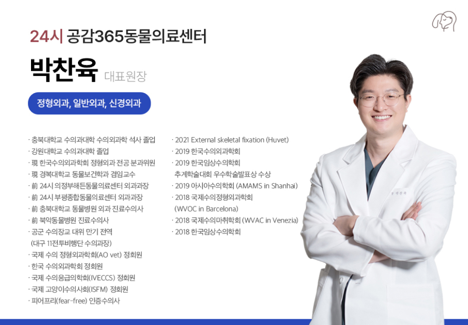 별내 2개월 진도개 골절 수술 후기 및 회복 과정 — 사진 13