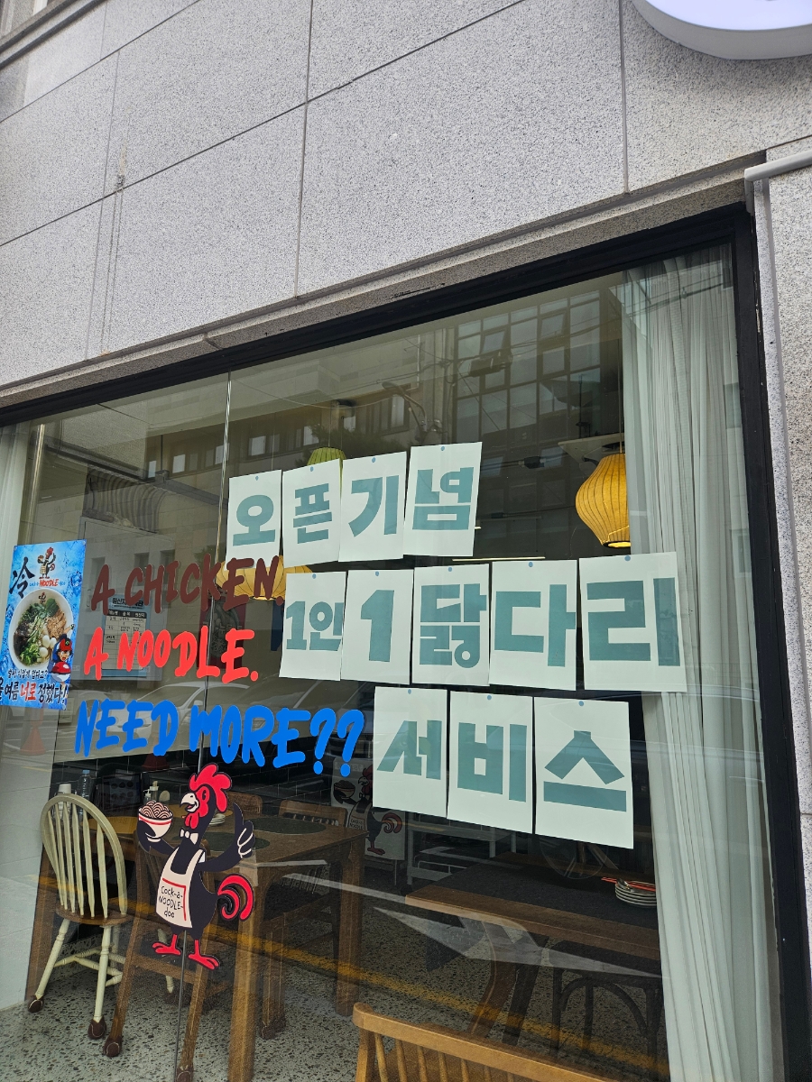코커누들두 사진 8
