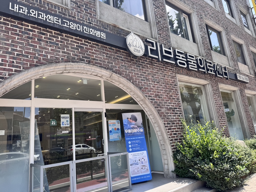 브리티쉬숏헤어 고양이 4살 건강검진 후기: 리브동물의료센터 — 사진 5