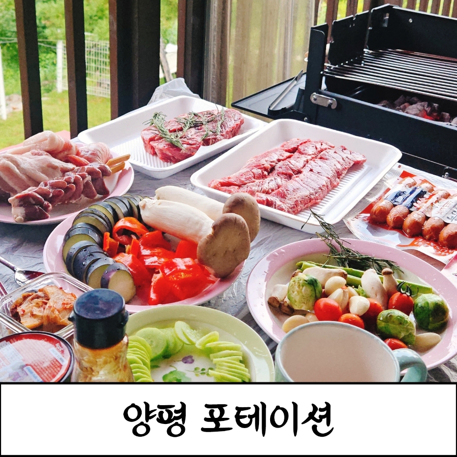 양평 애견펜션 포테이션, 계곡 앞 신상 펜션 후기