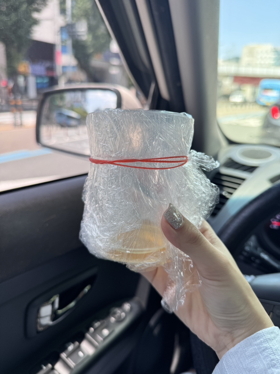 브리티쉬숏헤어 고양이 4살 건강검진 후기: 리브동물의료센터 — 사진 4