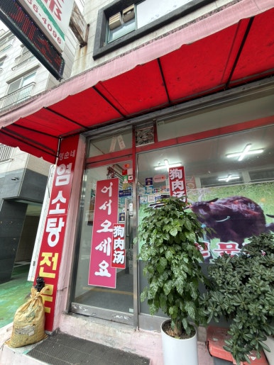 영순이네영양탕 사진 4