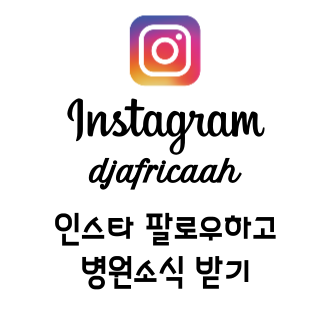 대전 고양이 심장병 종류별 증상과 관리법 — 사진 8